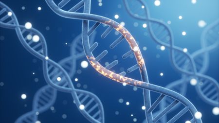 An illustration of blue double-helix strands of DNA surrounded by white bubbles against a blue background. The strand in the foreground closest to the viewer has a middle section lit up in golden light. 