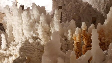 Powers of white and brown salt crystals are seen in a dimly lit cave with a roped staircase in the background
