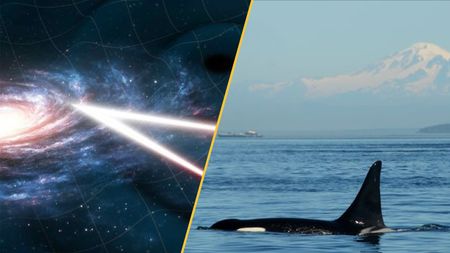 Science news this week March 7. 2026